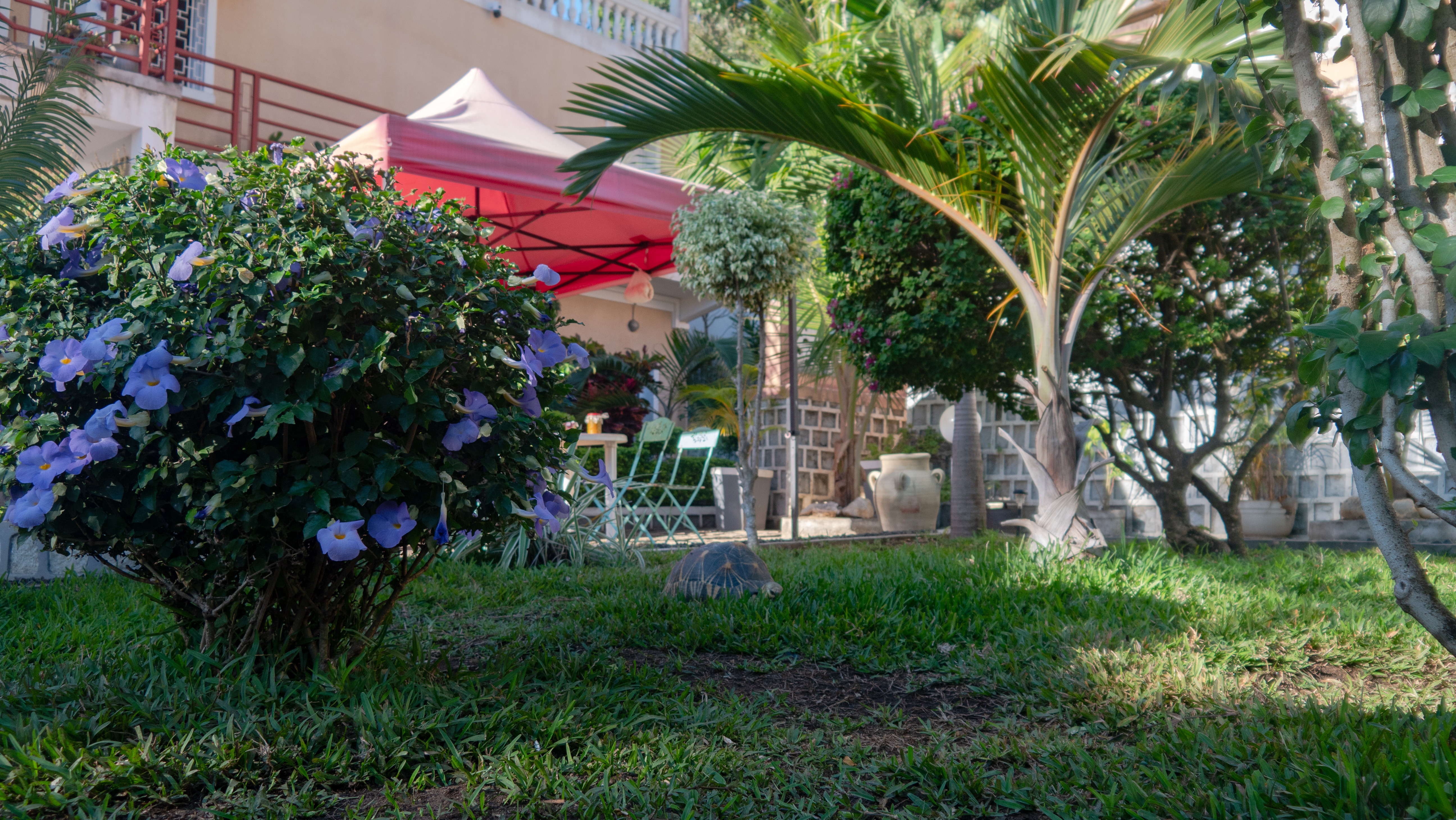 Service de conciergerie